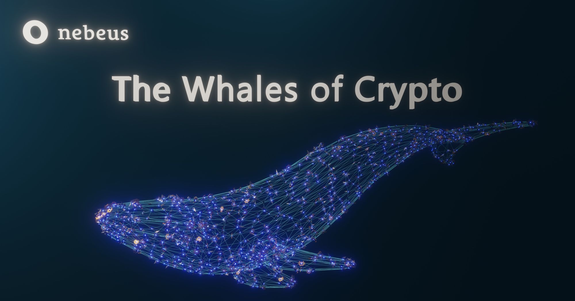 The Whales of Crypto - Top 10 Bitcoin Holders