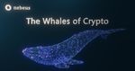 Crypto Whale - Nebe